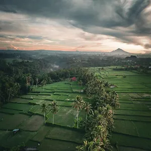 Pensjonat Ayu Duwur Beji, Ubud